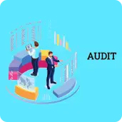 IS/IT Audit