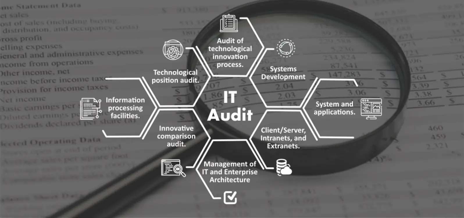 IT audit image